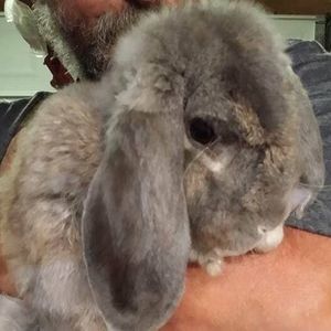 Meet your Posher, Dale